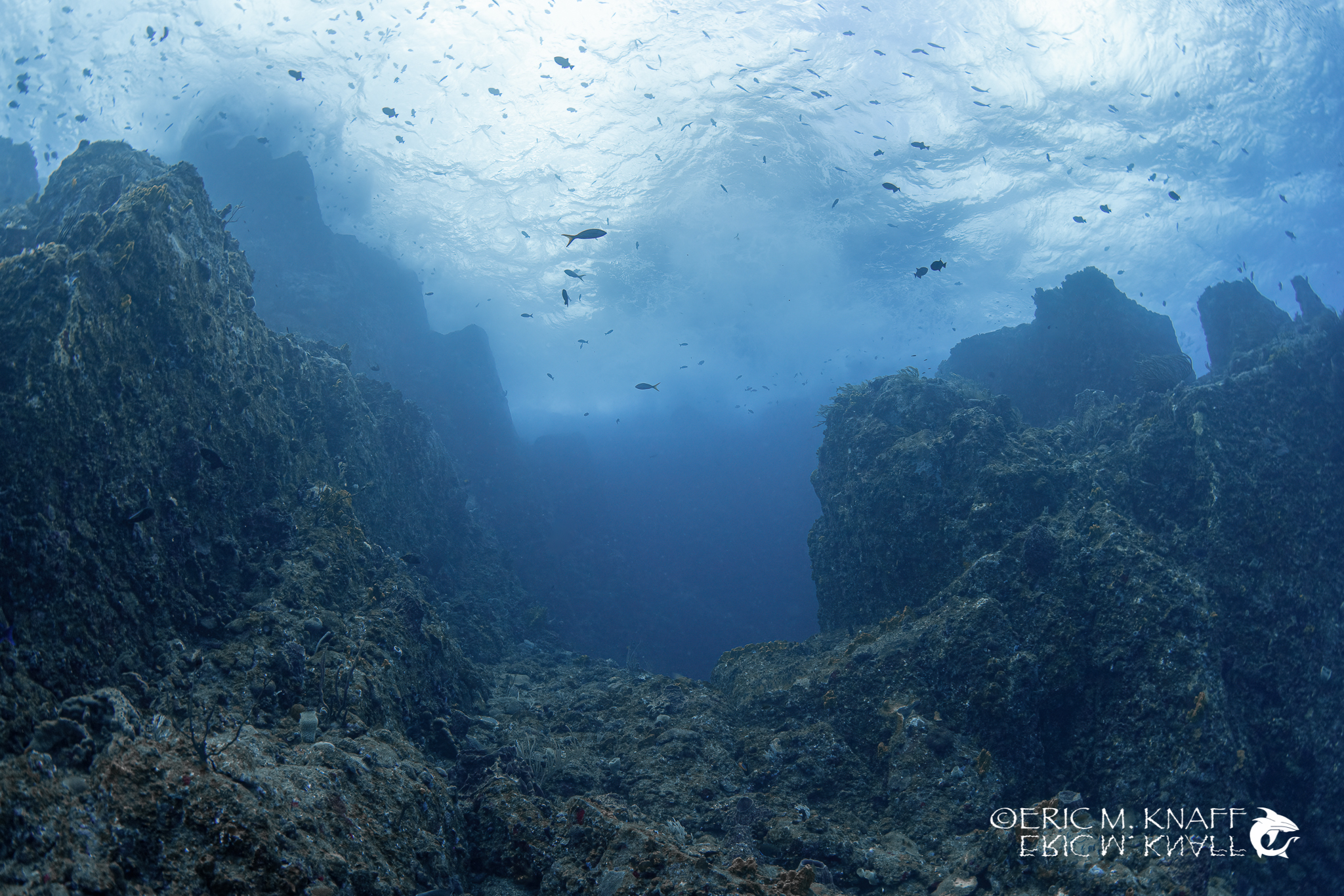 Saba & St. Kitts Liveaboard Diving | Explorer Ventures Fleet® UW-Saba-41
