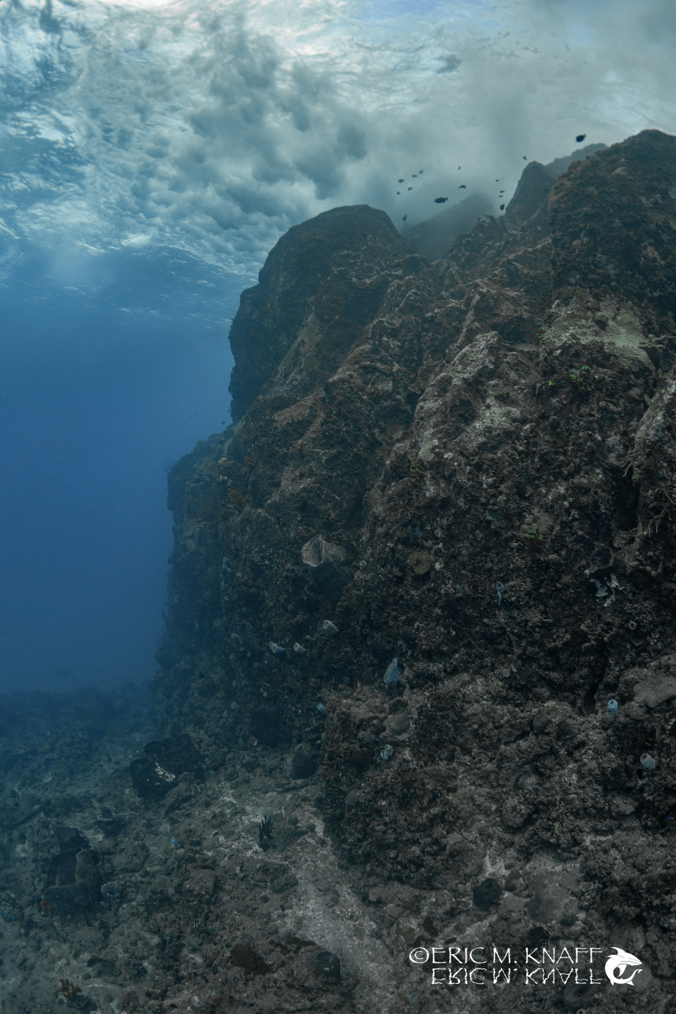 Saba & St. Kitts Liveaboard Diving | Explorer Ventures Fleet® UW-Saba-40