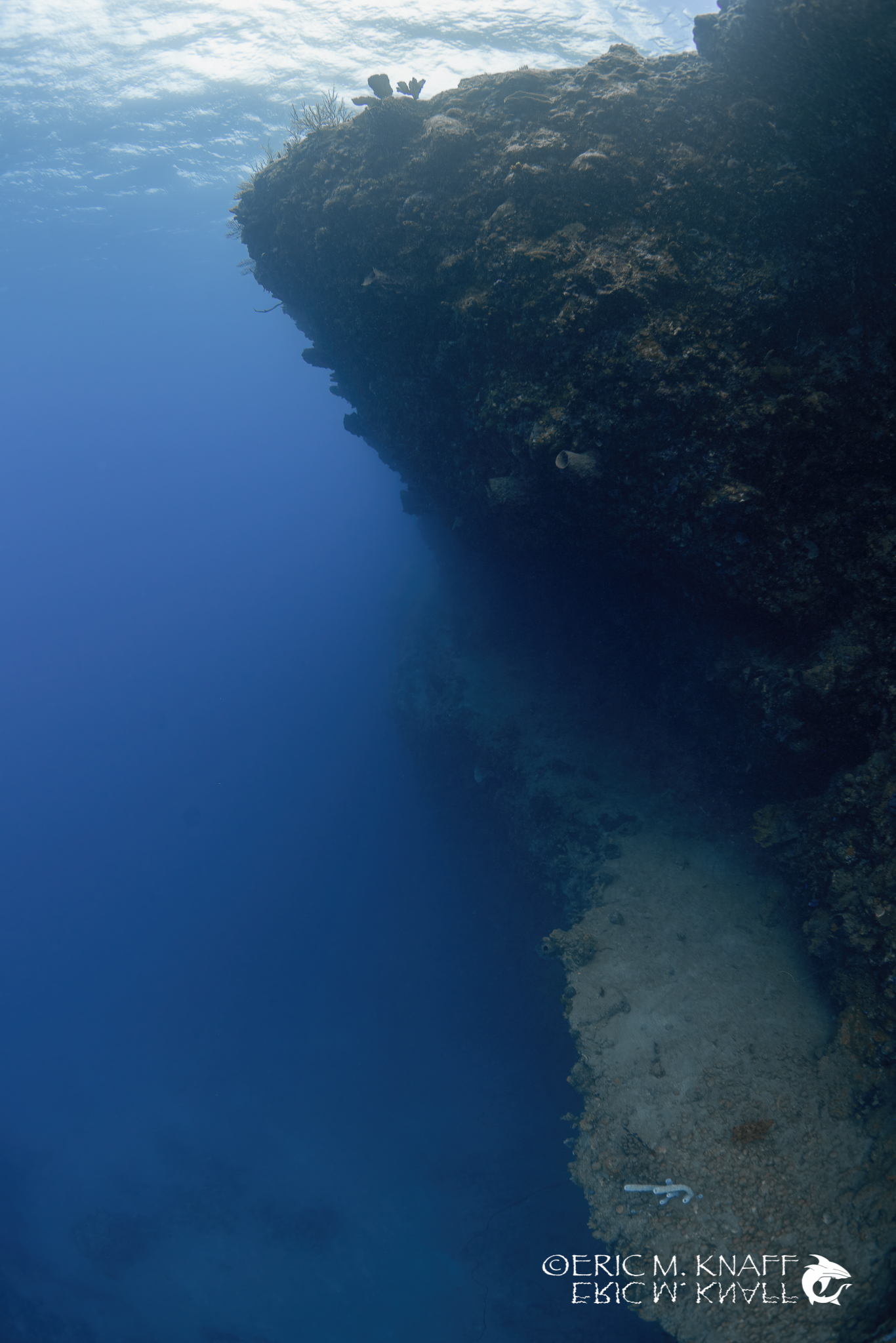 Saba & St. Kitts Liveaboard Diving | Explorer Ventures Fleet® UW-Saba-39