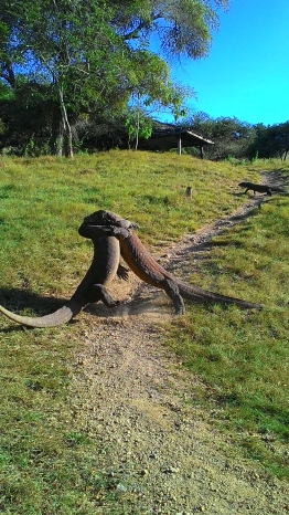 UW_Komodo_5