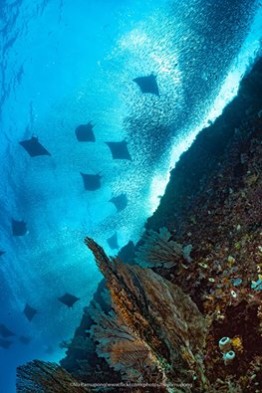 UW_RajaAmpat_1