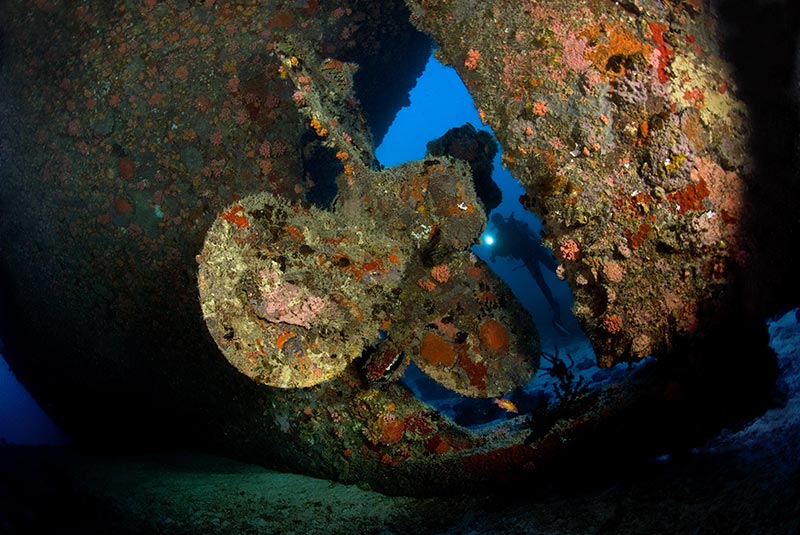 Maldives Liveaboard Diving | Explorer Ventures Fleet® Male-66