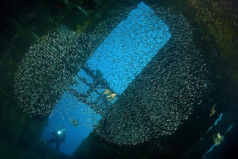 Maldives Liveaboard Diving | Explorer Ventures Fleet® Male-68