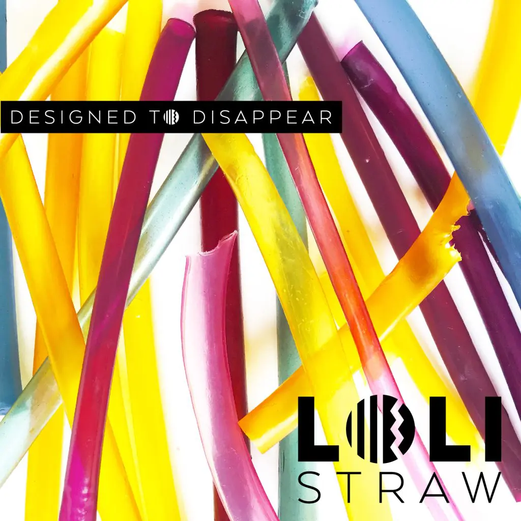 Lolistraw-Green-Initiative World Oceans Day | Explorer Ventures | Carpe Diem Maldives