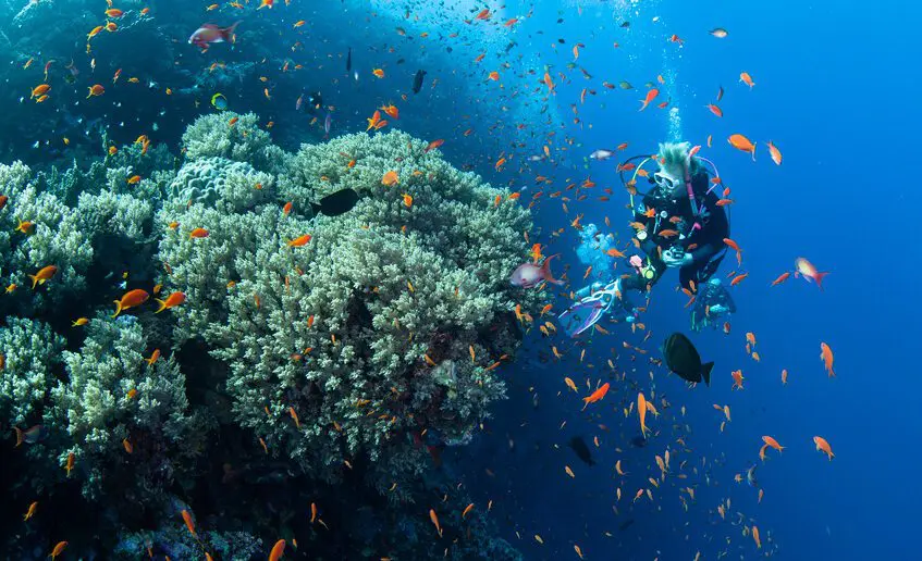 RedSea_UW11