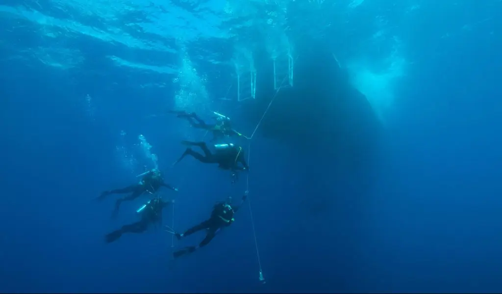 Liveaboards for Beginners: 8 Tips for First-Timers | Explorer Ventures Fleet® Divers on the hangline in Saba | Caribbean Explorer II