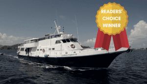 readers choice winner