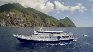 Pregnant Tiger Sharks on the Saba Bank | Explorer Ventures Fleet® Caribbean Explorer II cruising Saba, Explorer Ventures Fleet.