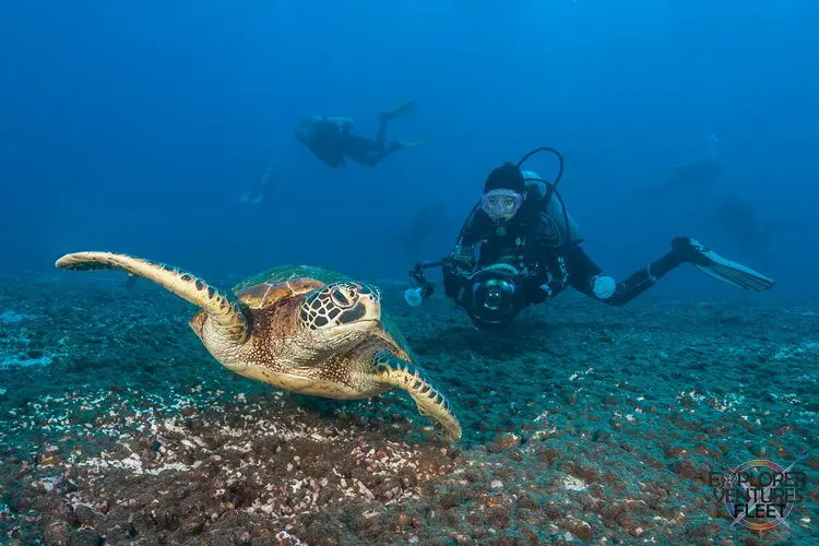 best diving in the caribbean islands scuba destinations