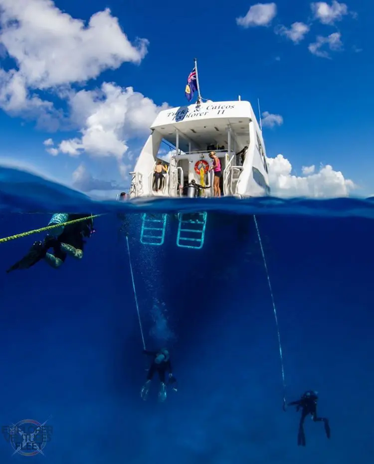Can an Open Water Diver Liveaboard Dive? | Explorer Ventures Fleet® liveaboard diving
