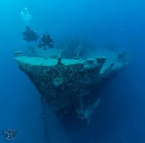 scuba diving in the Red Sea