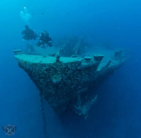 scuba diving in the Red Sea