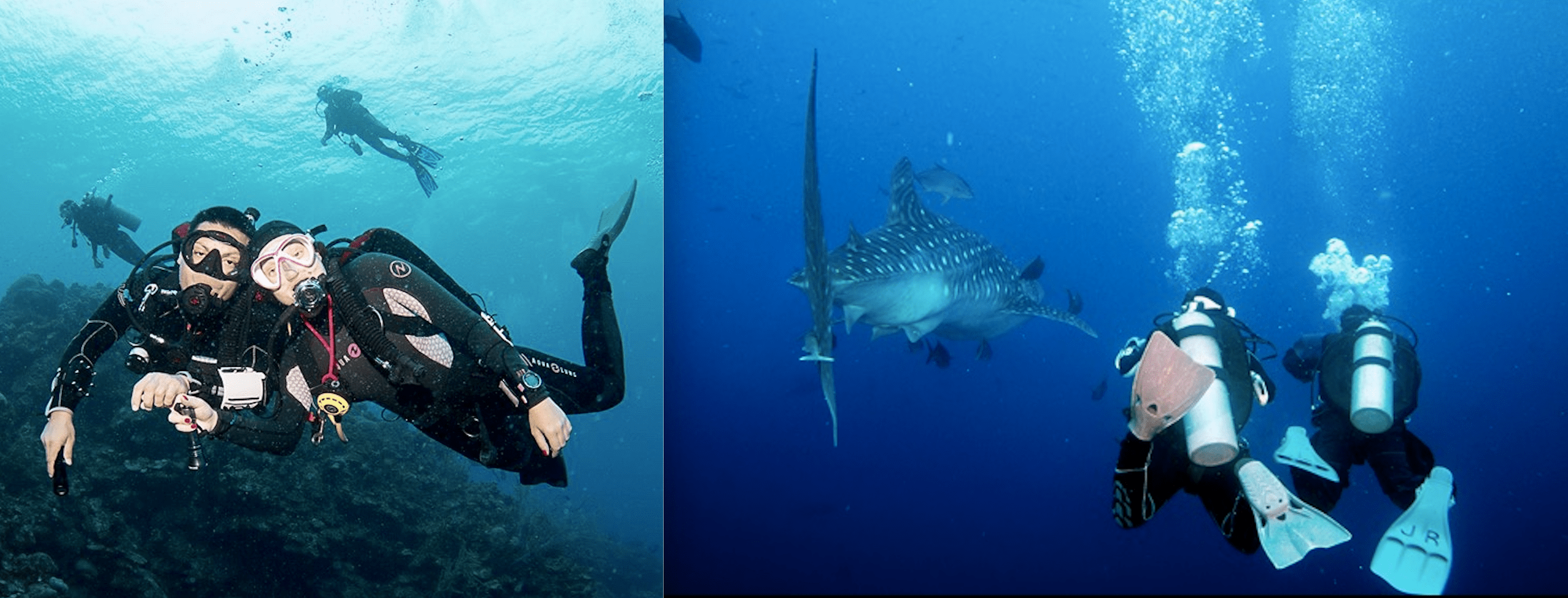 EV Love Story Split Image_Jose_2020