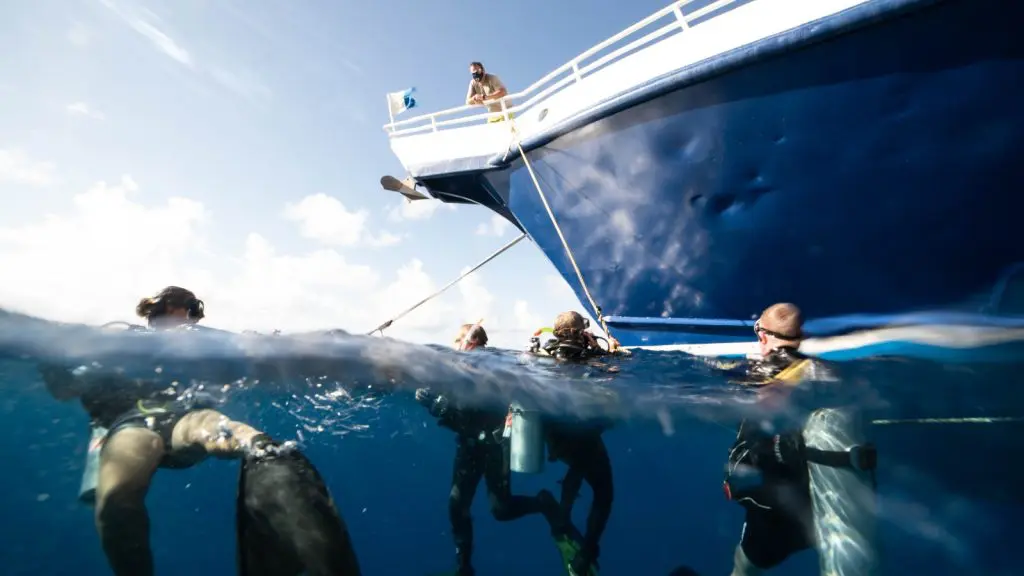 Dive, Dive, Dive! This is not a drill. | Explorer Ventures Fleet® Book Your Next Liveaboard Dive | Explorer Ventures