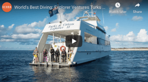 Worlds Best Awards Screenshot