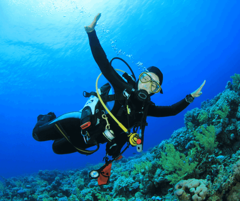 Single Travelers on Liveaboards | Explorer Ventures Fleet® EV_Diver UW_Dive. single traveler on liveaboard