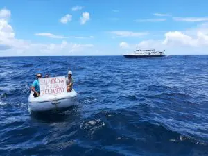 Pregnant Tiger Sharks on the Saba Bank | Explorer Ventures Fleet® Saba Bank Pizza 2021 | Explorer Ventures Fleet® Liveaboard Diving