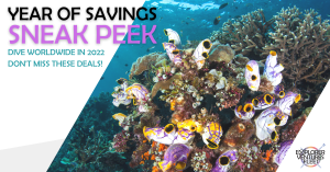 Newsletter YOS 2022 Ad 2 | Explorer Ventures Fleet® Liveaboard Diving