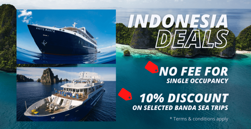 Indonesia Sale Deals Banner 2022 1 e1658931984107 | Explorer Ventures Fleet® Liveaboard Diving