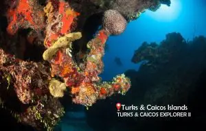 Turks Caicos _CANVA Credit_ Explorer Ventures