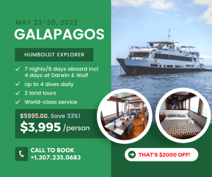 Galapagos Humboldt Explorer Sale Advertisement
