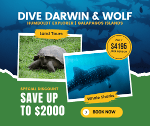 Galapagos June Special