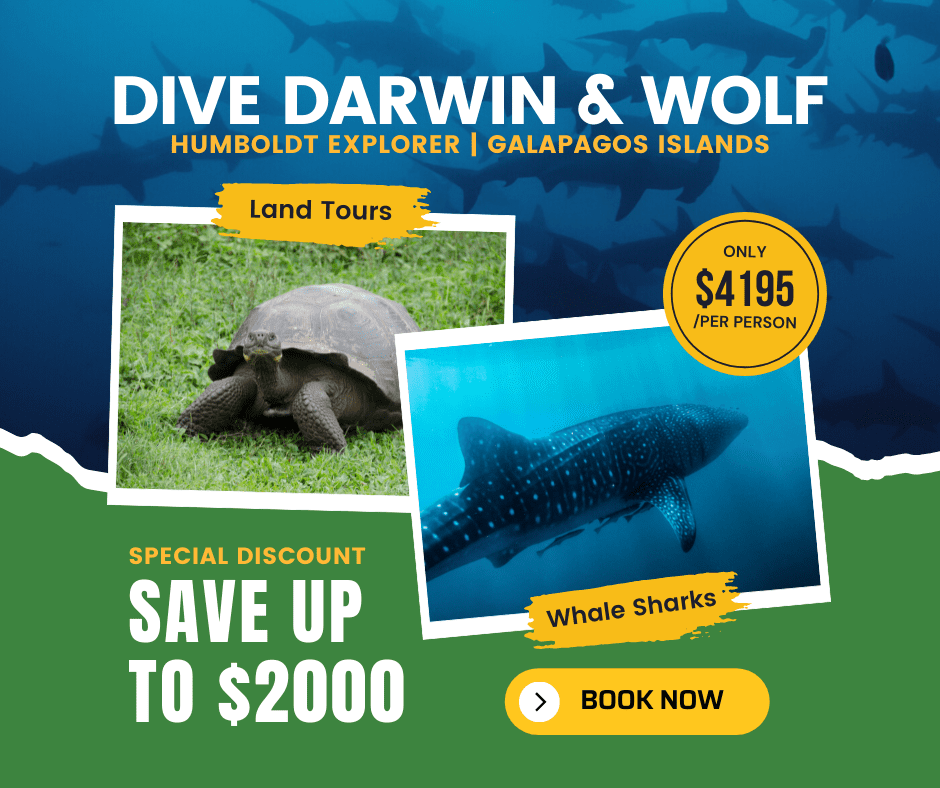 Galapagos June Special