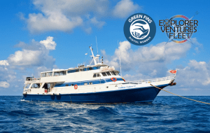 Explorer Ventures Fleet CEXII Green Fins Member | Explorer Ventures Fleet® Liveaboard Diving