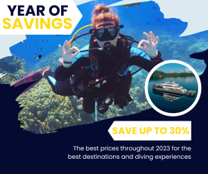 Year of Savings 2023 Dive Deals