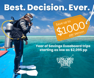 Year of Savings Liveaboard Specials 2023. Save 1000 per person