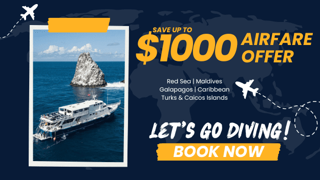 Flexible Airfare Offer from Explorer Ventures