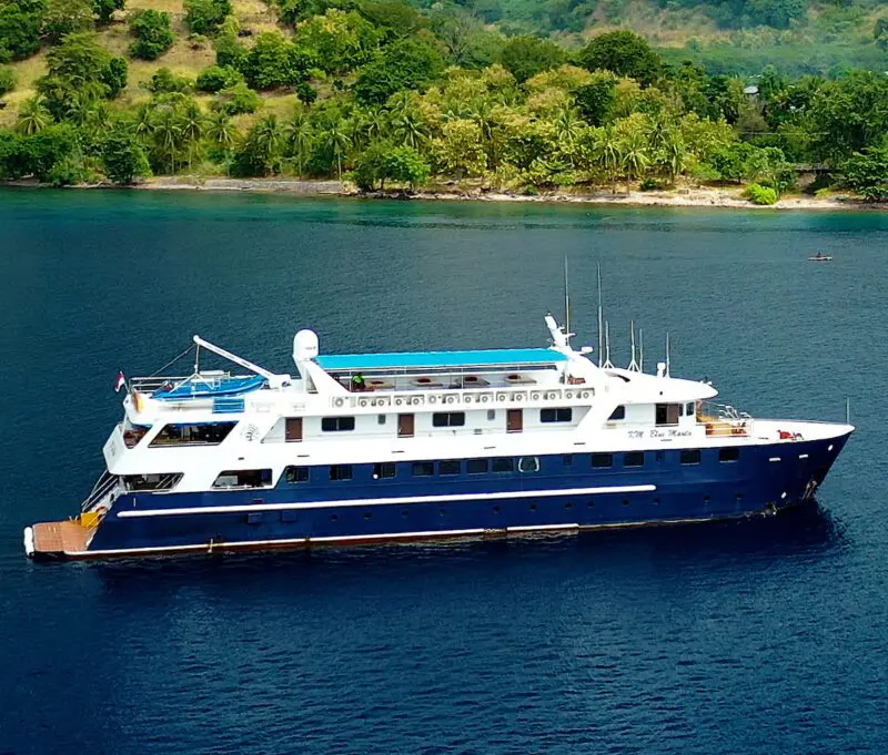 Blue Manta Explorer Layout & Specifications | Explorer Ventures Fleet® Blue Manta Explorer, explorer ventures fleet liveaboard diving