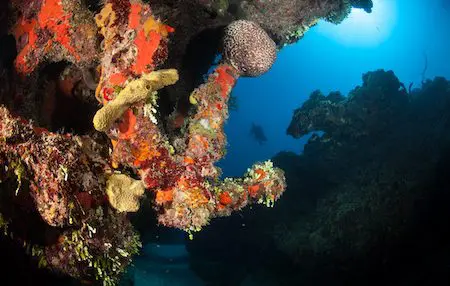 Welcome Aboard Explorer Ventures Fleet | Explorer Ventures Fleet® Turks Caicos Anchor