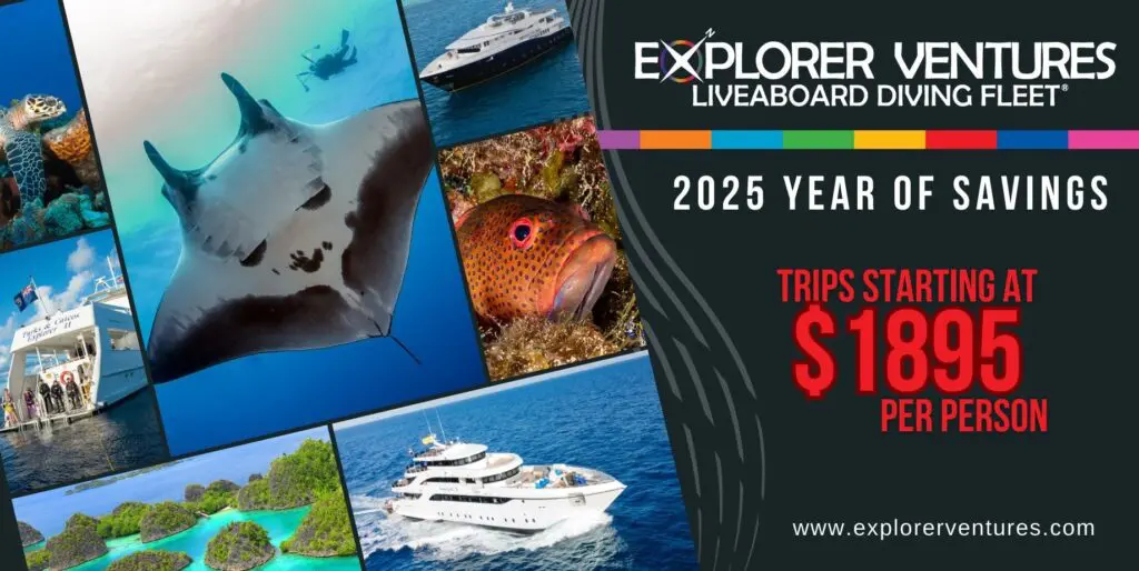 2025 Year of Savings