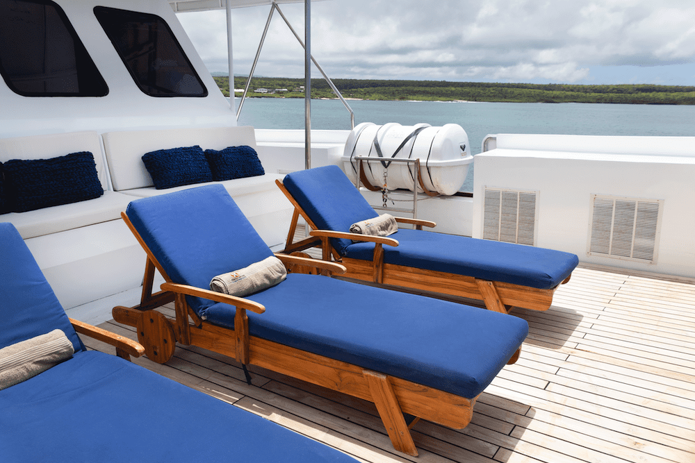 Re-introducing Humboldt Explorer – Newly remodeled and ready for divers. | Explorer Ventures Fleet® Humboldt Explorer 2023