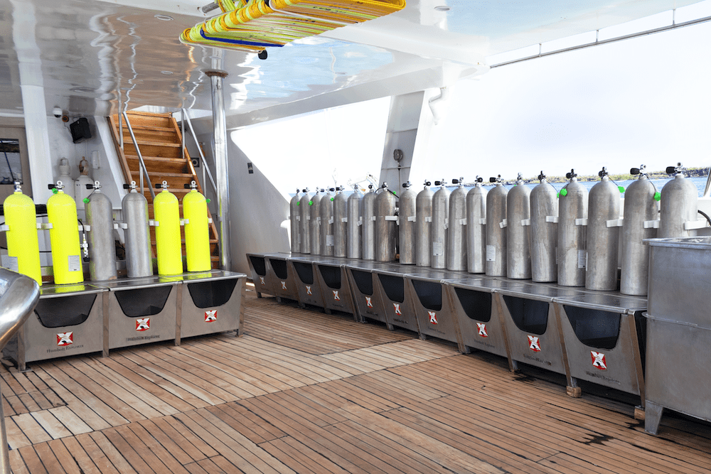 Re-introducing Humboldt Explorer – Newly remodeled and ready for divers. | Explorer Ventures Fleet® Humboldt Explorer 2023