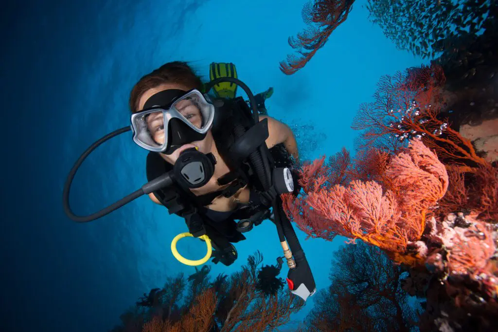 Single Travelers on Liveaboards | Explorer Ventures Fleet® Scuba diver with Explorer Ventures Fleet