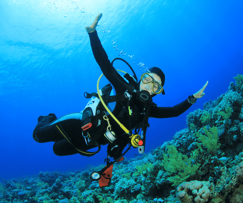 Built-In Community: Why Solo Travellers Thrive on Liveaboards | Explorer Ventures Fleet® Diver underwater. solo traveller