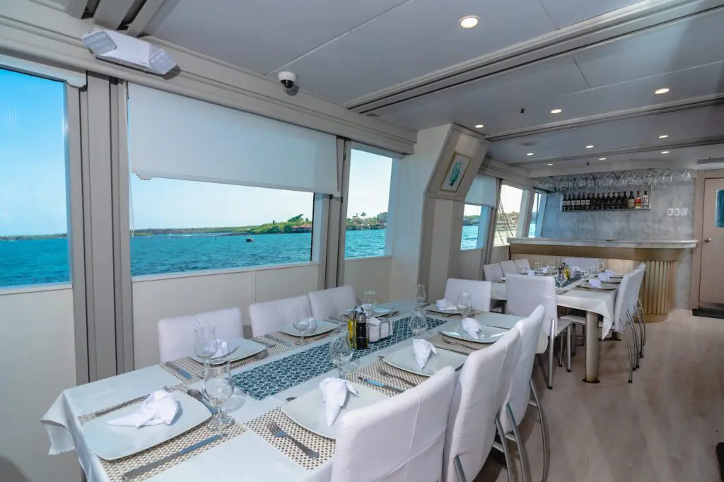 Re-introducing Humboldt Explorer – Newly remodeled and ready for divers. | Explorer Ventures Fleet® Humboldt Explorer 2023 Humboldt 2023 35 | Explorer Ventures Fleet® Liveaboard Diving