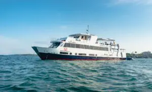 Humboldt Explorer 2023 Humboldt 2023 45 | Explorer Ventures Fleet® Liveaboard Diving