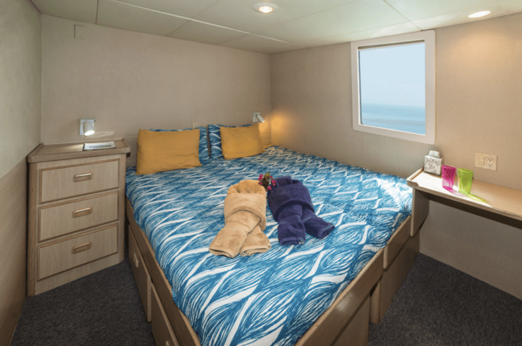 Stateroom on Turks and Caicos Explorer II liveaboad