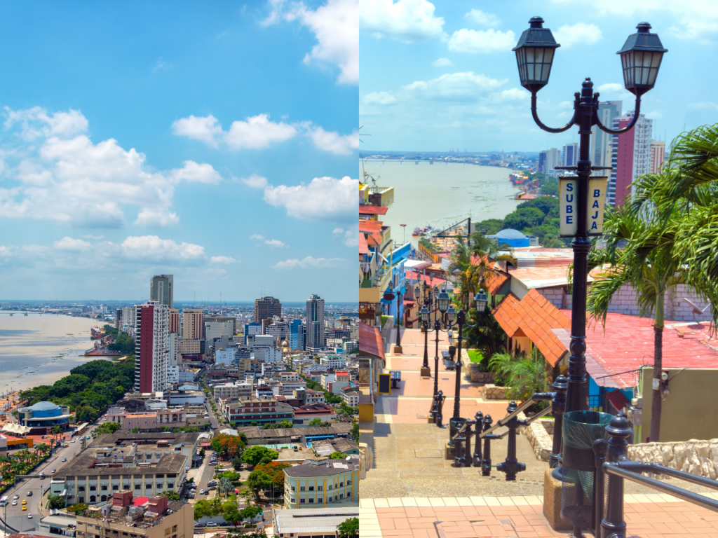 Guayaquil Explorer Ventures Fleet. Canva.