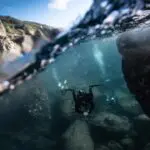 Questions on LIveaboard Diving