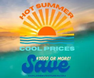 Hot Cool Liveaboard Sale. Dive deals