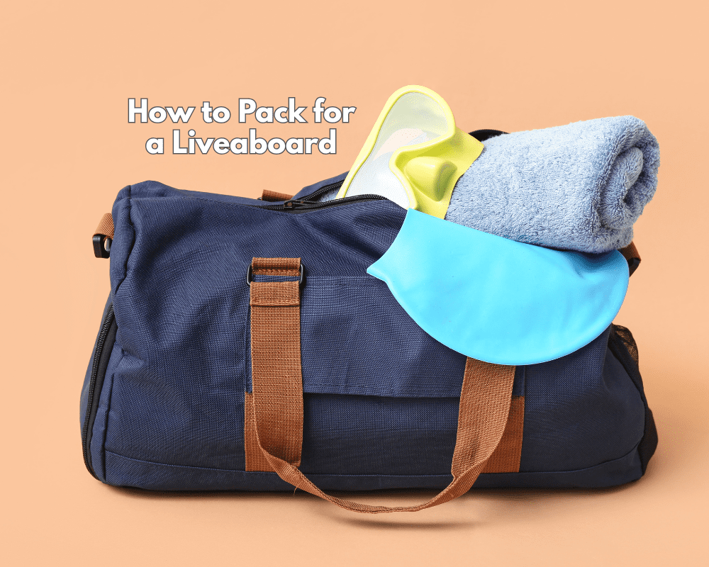 how to pack for a liveaboard