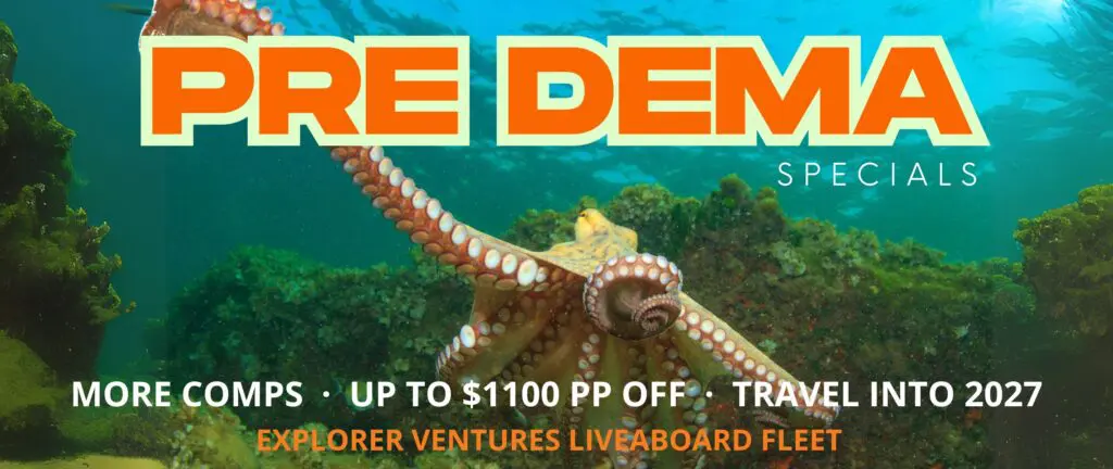 Pre-Dema Specials Explorer Ventures Fleet