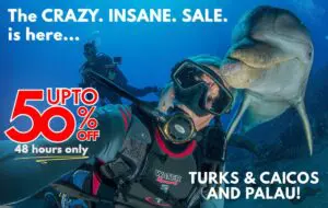 Crazy Insane Liveaboard Diving Flash Sale. Explorer Ventures Fleet