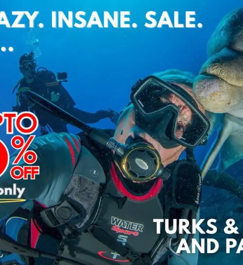 Blog Featured Image