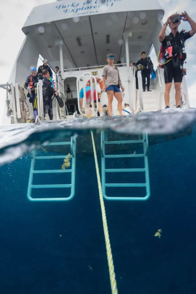 Protecting Coral, One Dive at a Time. | Explorer Ventures Fleet® TC Reef Fund RumPowered Research East Caicos 2025 Pat Photos DSC00418 | Explorer Ventures Fleet® Liveaboard Diving