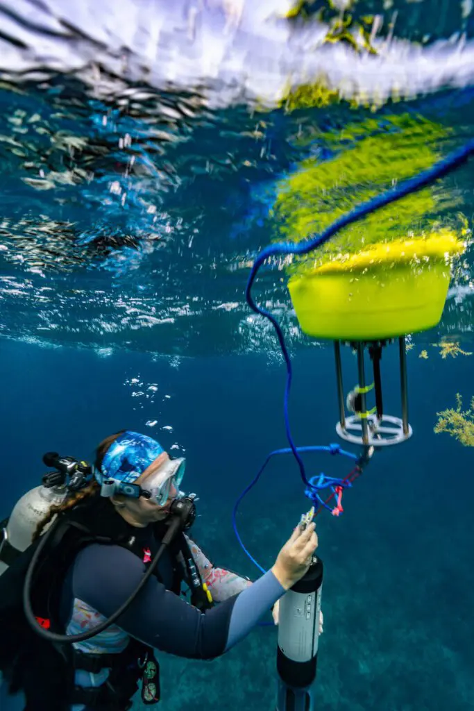 Protecting Coral, One Dive at a Time. | Explorer Ventures Fleet® TC Reef Fund RumPowered Research East Caicos 2025 Pat Photos DSC00594 | Explorer Ventures Fleet® Liveaboard Diving
